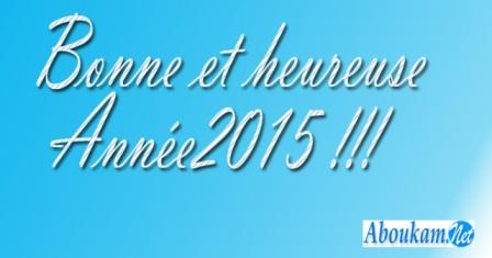 Le blog-web-Aboukam-chiffres -données-statistique-2014