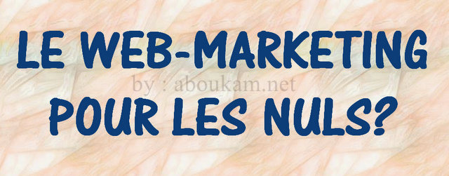 le-web_marketing-pour-les-nuls-Communication-Digitale