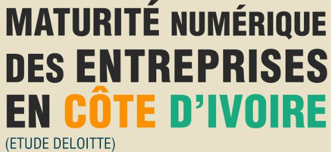 [ Infographie] : La maturité numérique des entreprises en Côte d'Ivoire en 2016