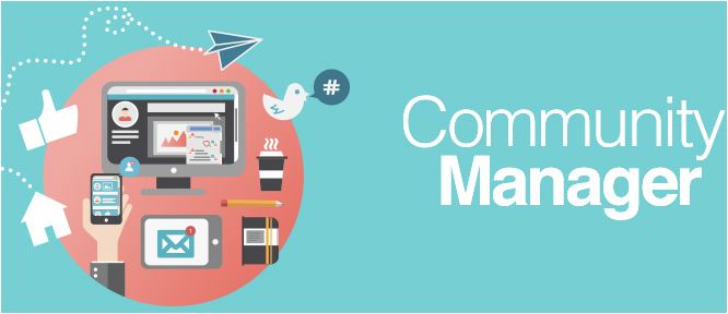 Offre stage nous recherchons 3 rédacteurs web et community manager