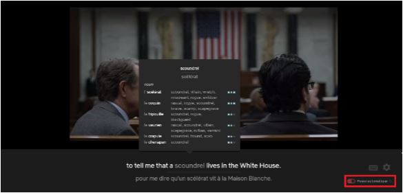 LLN  un plugin pour apprendre une langue en regardant Netflix